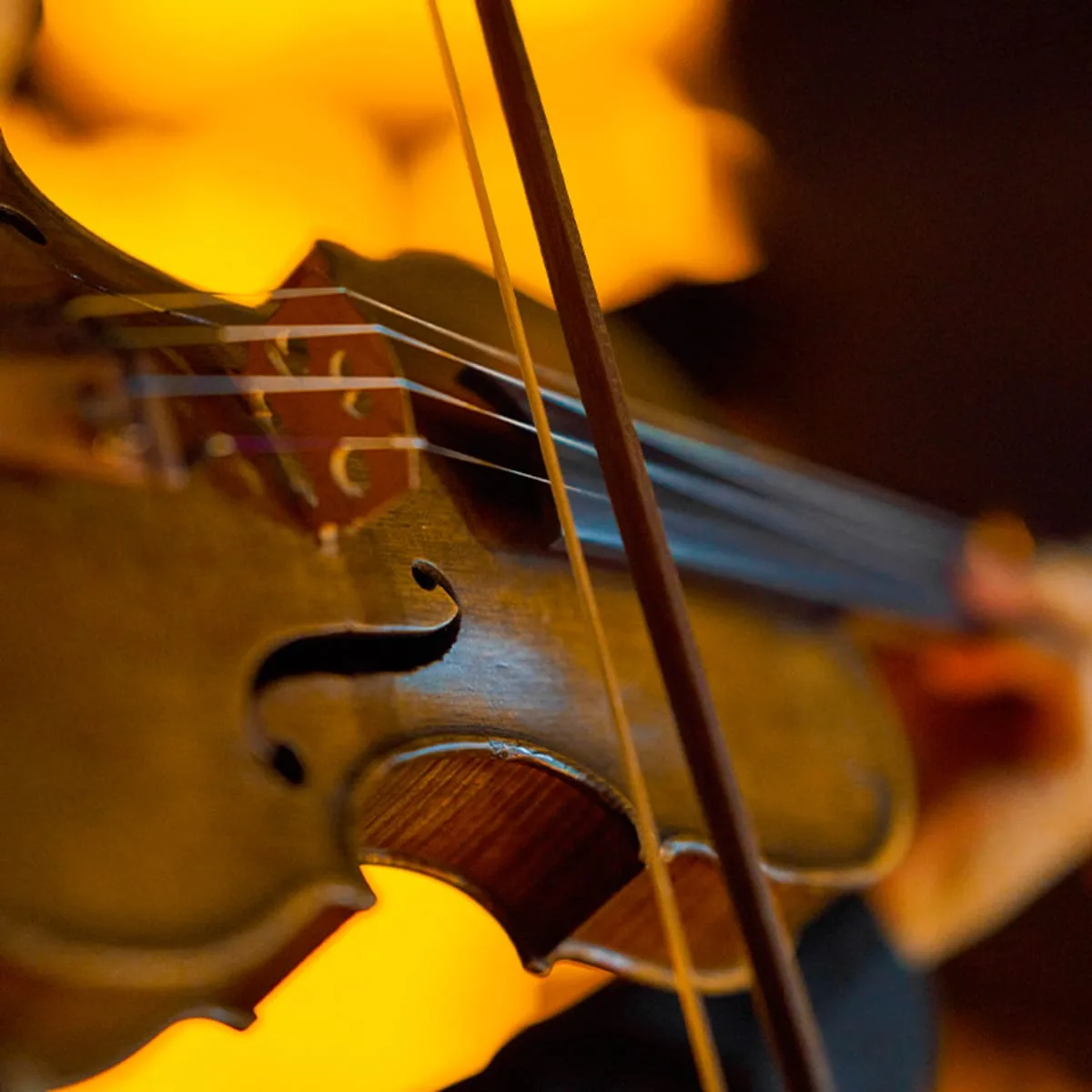 Vezi evenimentul Candlelight: Coldplay vs. Imagine Dragons — imaginea 2