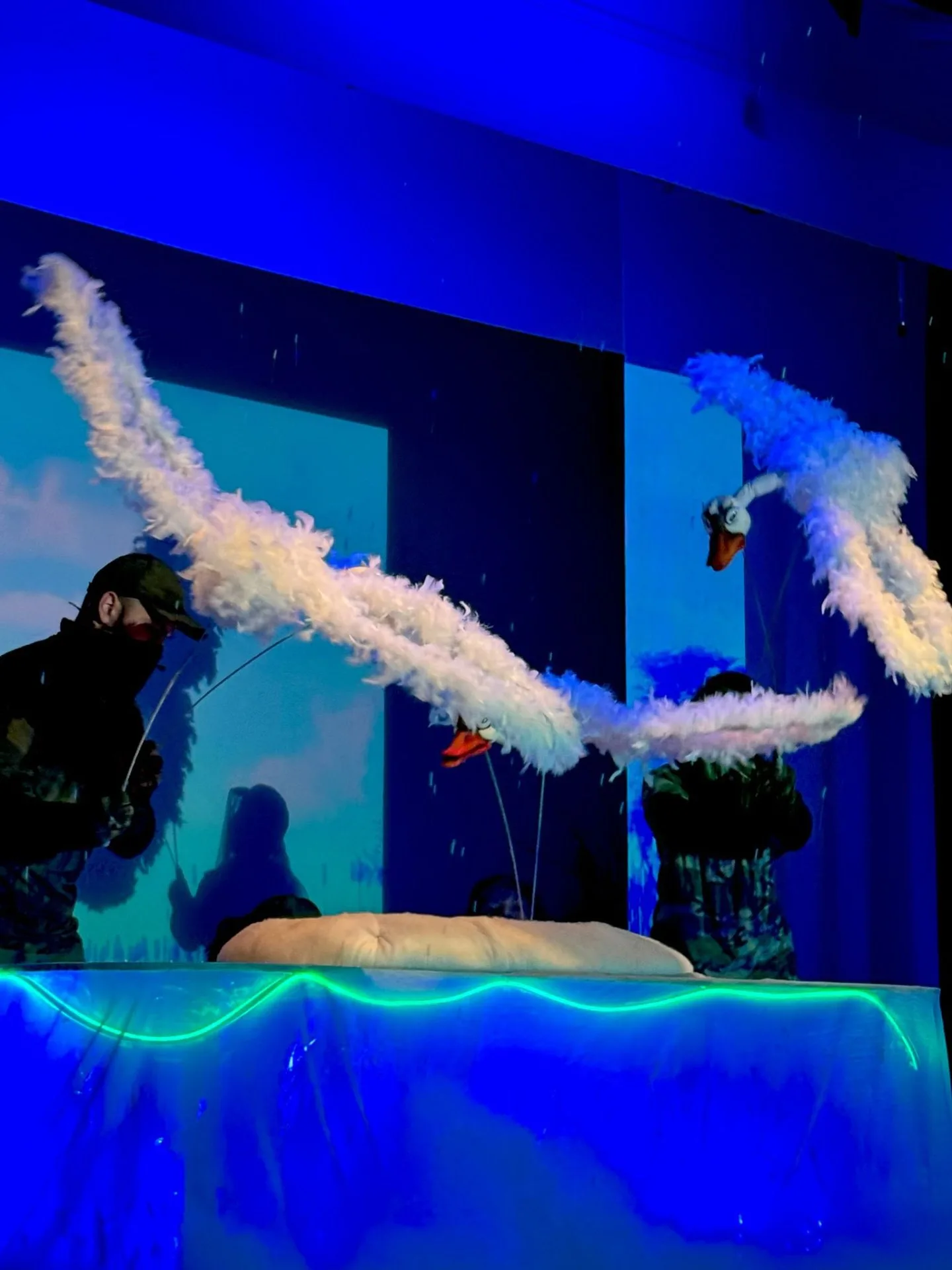 Vezi locația Teatrul de Păpuși „Cărăbuș” Brăila — imaginea 2