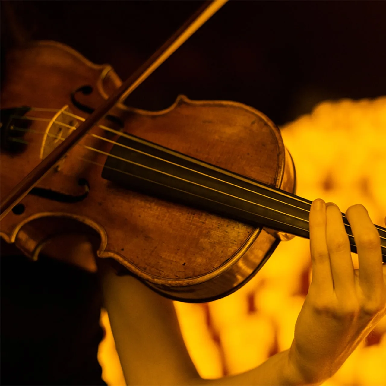 Vezi evenimentul Candlelight: Cele patru anotimpuri ale lui Vivaldi — ALMA