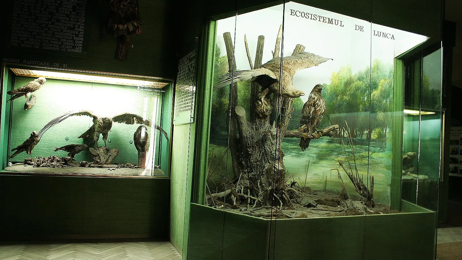 Vezi locația Casa Colecției de Științe ale Naturii — imaginea 2