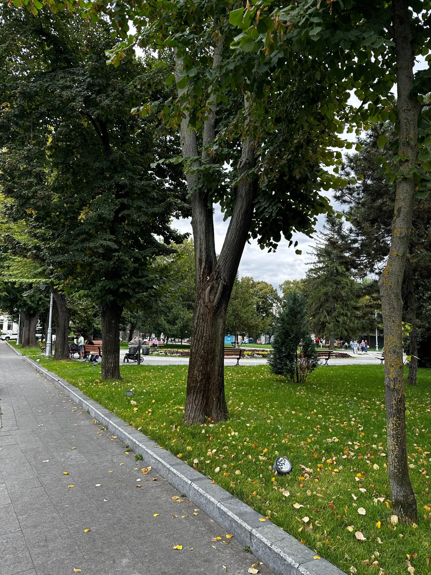 Vezi locația Piața Traian și Ceasul Public — imaginea 4