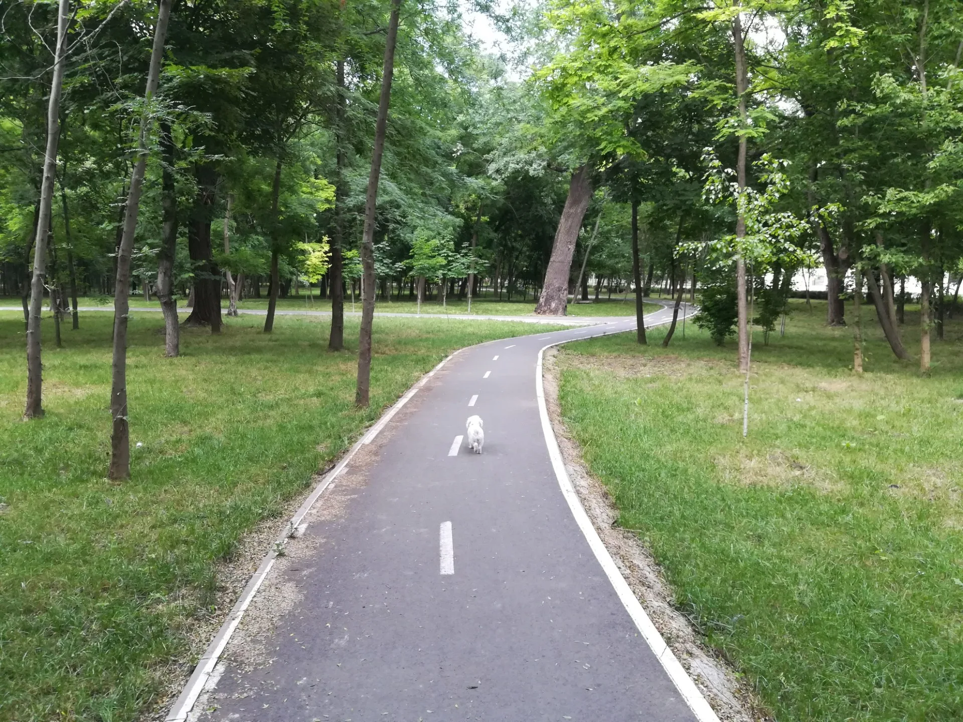 Vezi locația Parcul Monument — imaginea 4