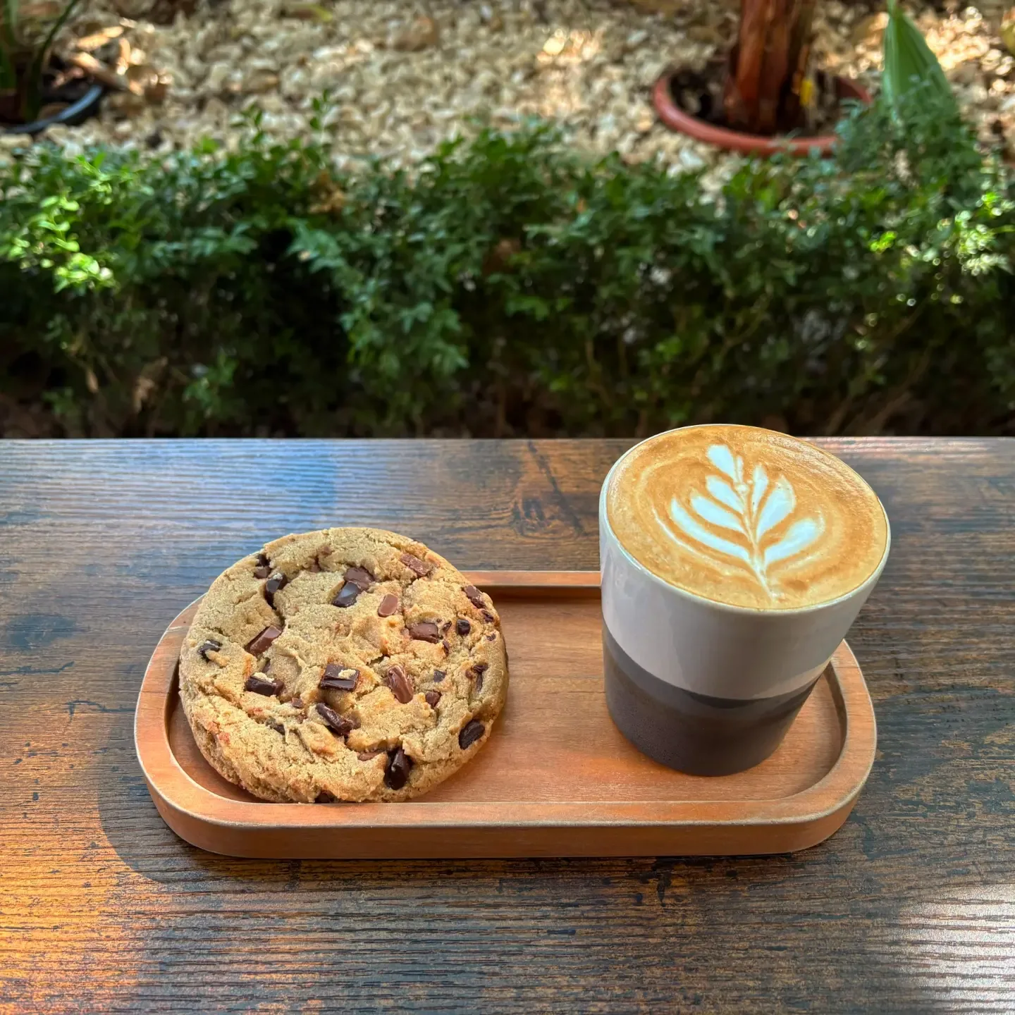 Grinder Coffee Shop – Aleea Cocorilor