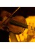 Afiș: Candlelight: Cele patru anotimpuri ale lui Vivaldi &mdash; ALMA