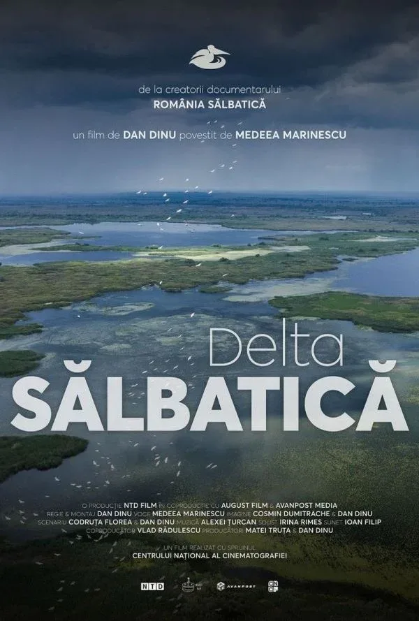 Poster Delta salbatica