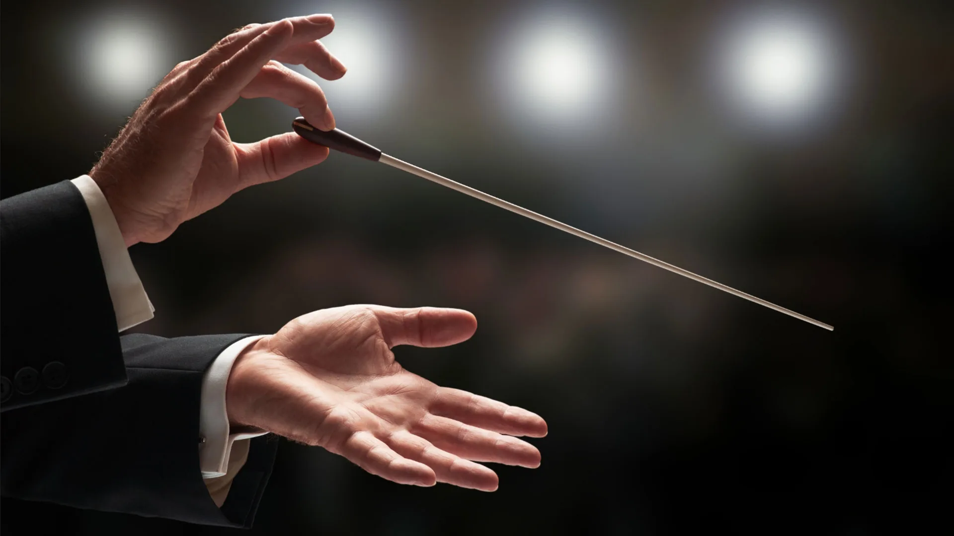 Vezi locația Filarmonica „Lyra – George Cavadia” Brăila — imaginea 2